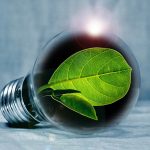 lightbulb, leaf, chlorophyll-2631864.jpg